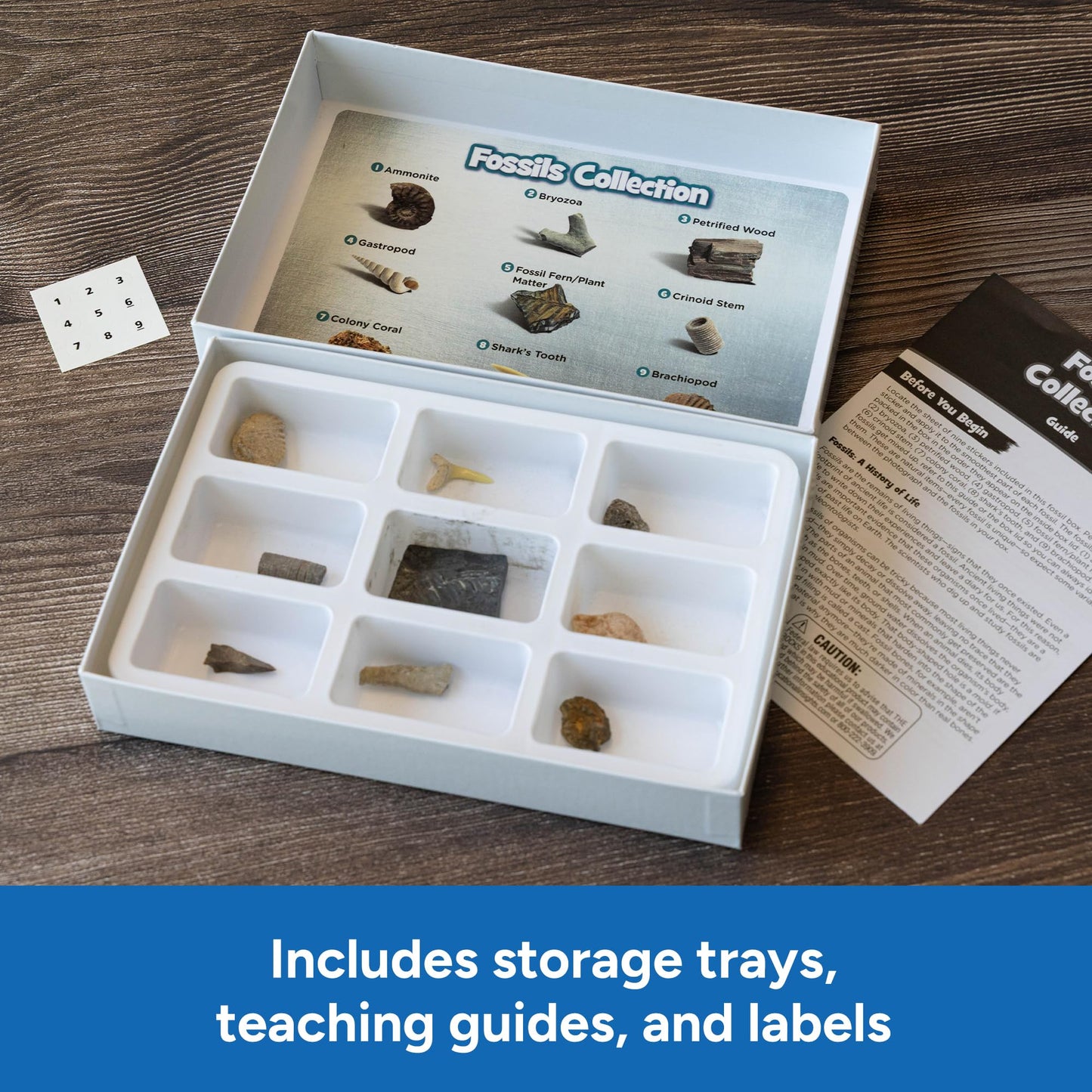 Educational Insights Complete Rock, Mineral, & Fossil Collection