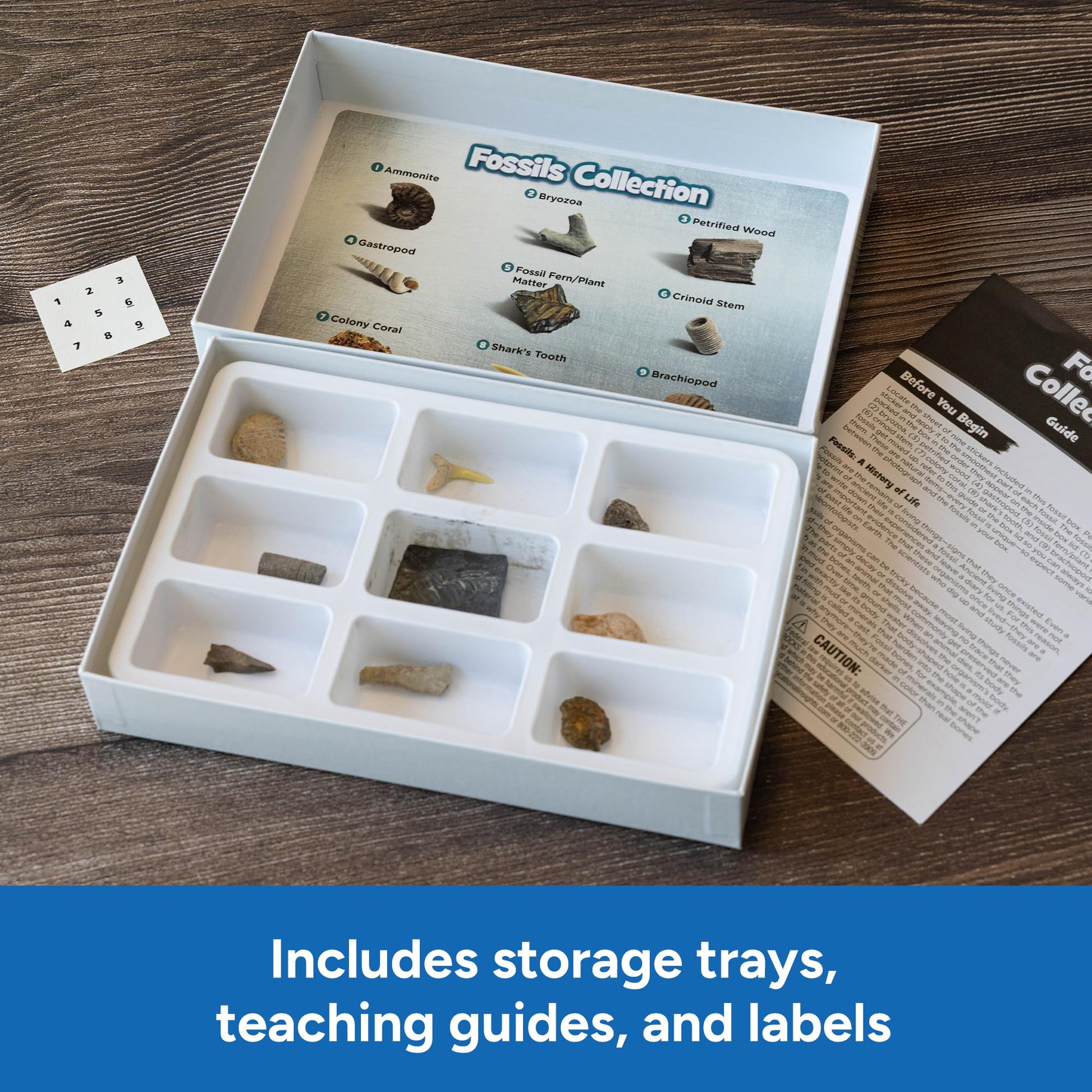 Educational Insights Complete Rock, Mineral, & Fossil Collection
