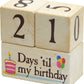 Maple Landmark Days 'Til Countdown Blocks - 3 pc Set - Made in USA