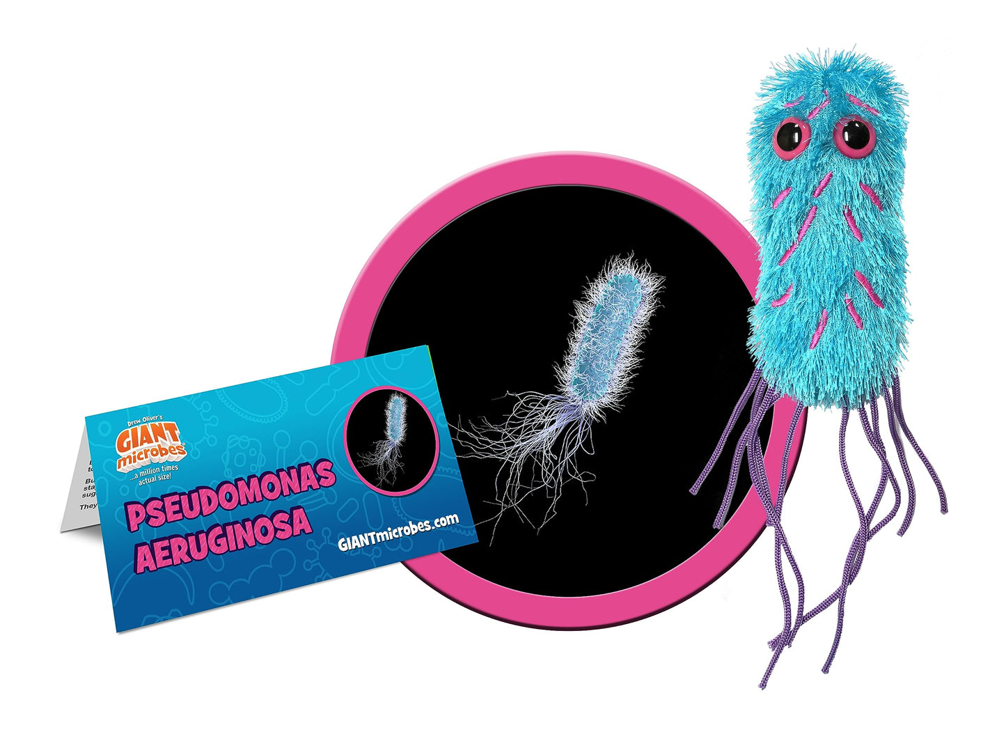 GIANT MICROBES Pseudomonas Plush - Learn About This Bacteria and Health, Educational Gift for Scientists, Doctors, Public Health Workers, and Anyone
