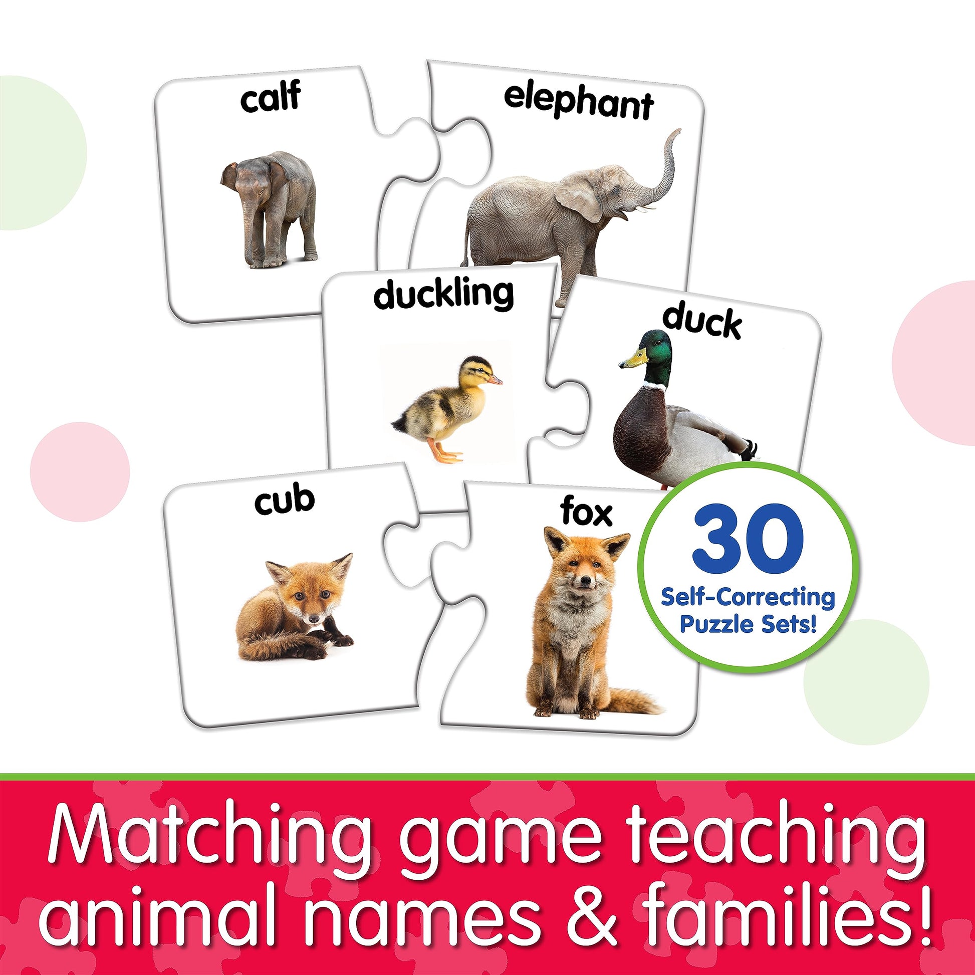 The Learning Journey: Match It! - Animal Families - Learning Animals, Animal Matching Game, Animal Puzzle For Kids, Puzzle For Toddlers, Award Winning
