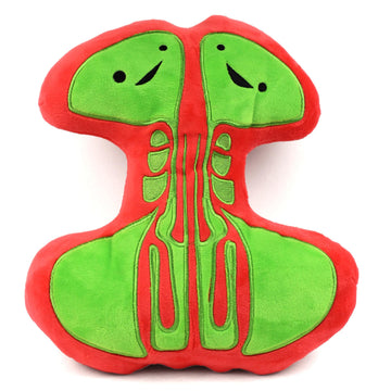 Sinus Plushie - Breathing Buddies - Sinusitis Surgery Gift Pillow