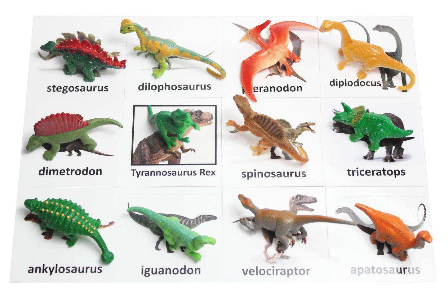 Curious Minds Busy Bags Montessori Dinosaur Figure Animal Match - Miniature Dino Figurines with Matching Cards - 2 Part Cards. Montessori Learning