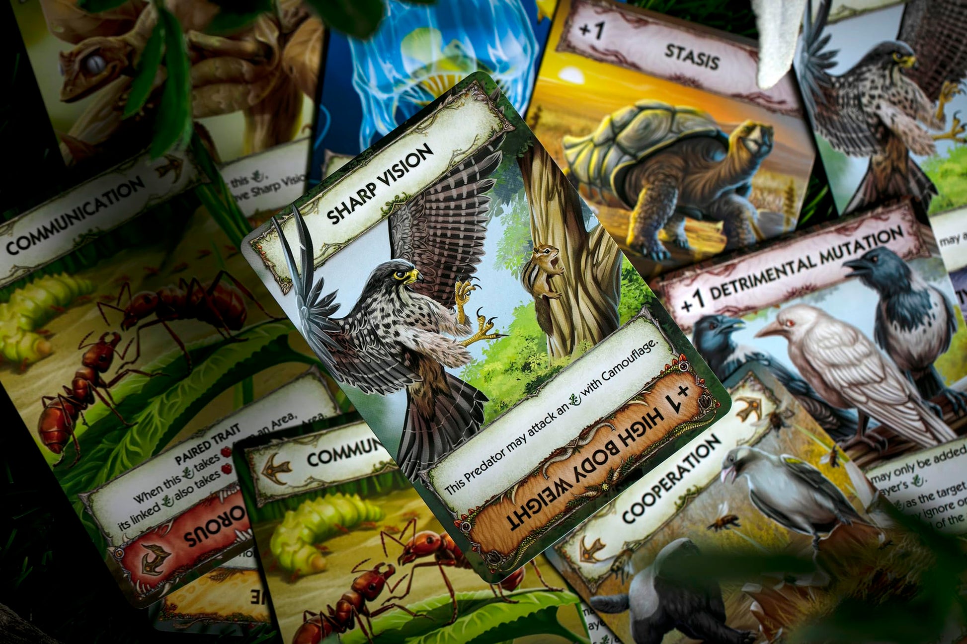 Evolution: New World Board Game | 2-4 Players | Ages 11 and up | Science Game | Animals| Card Games | Nature Board Game | Hand Management | Average