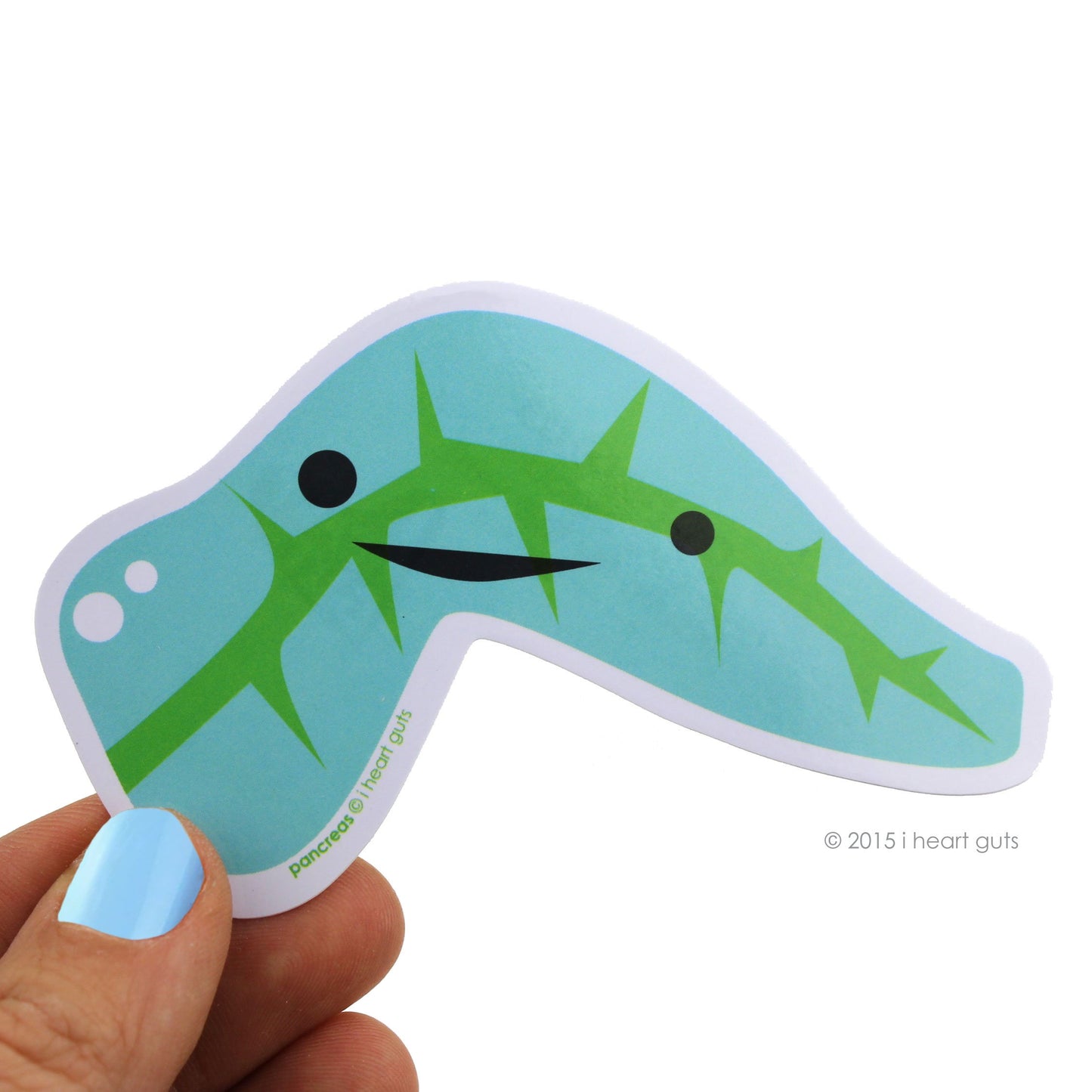 I Heart Guts Pack of Pancreas Stickers - 15 Pancreas Stickers - Cute and Educational Vinyl Stickers for Diabetics, Endocrinology Gifts, or Sweet