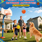 LAO XUE 6 Pack Mini Basketball Set with Pump,6 Inch Inflatable Balls