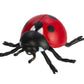 Safari Ltd. Life Cycle of a Ladybug - Educational Toy Figurines - Miniature Beetle Lifecycle Collection for Boys, Girls & Kids Age 4+