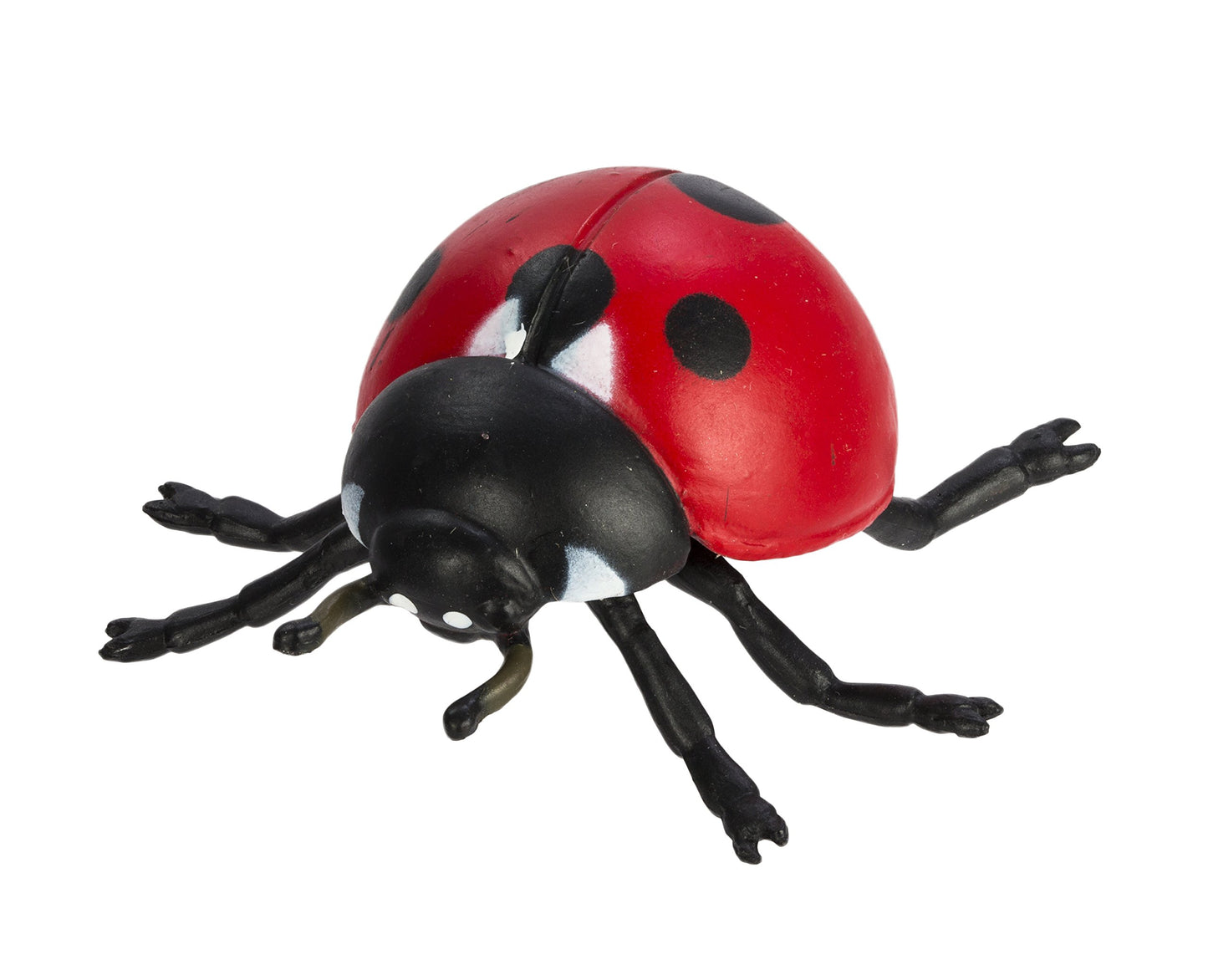Safari Ltd. Life Cycle of a Ladybug - Educational Toy Figurines - Miniature Beetle Lifecycle Collection for Boys, Girls & Kids Age 4+