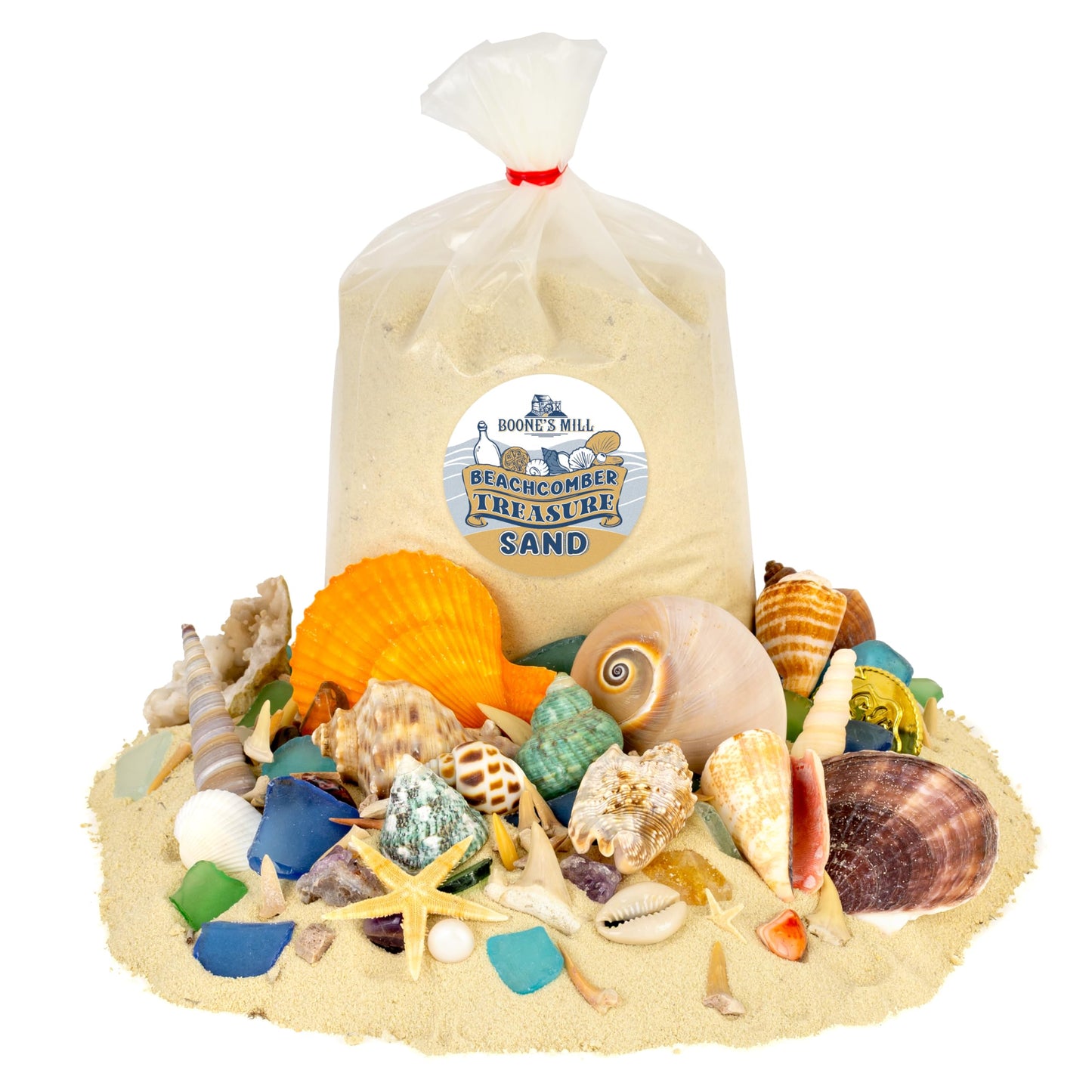 Beachcomber Treasure Hunt - Beach Paydirt with Shells, Sea Glass, Pearl, Fossils & Crystals