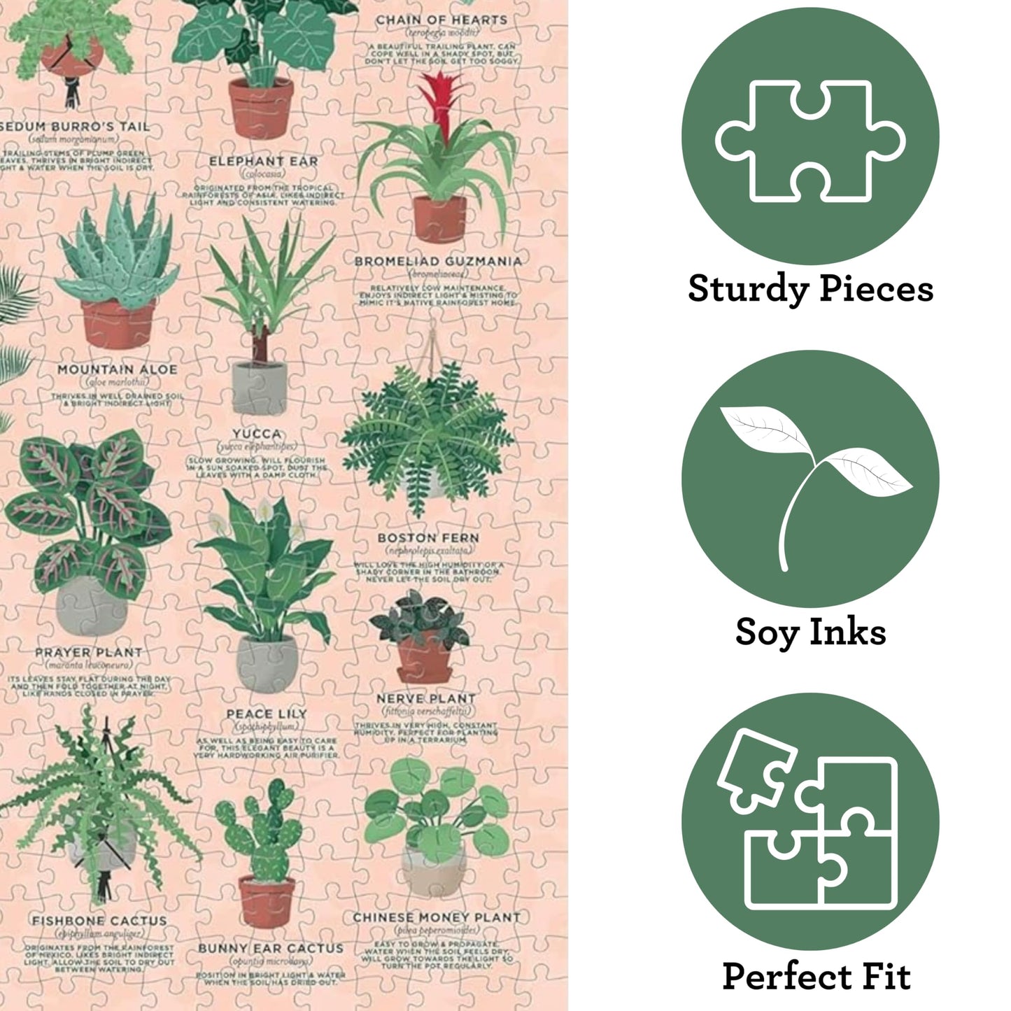 Ridley's Games: House Plants 1000-Piece Jigsaw Puzzle | Perfect for Plant Owners with Over 30 Unique Plants | Perfect Room Décor Once Completed |