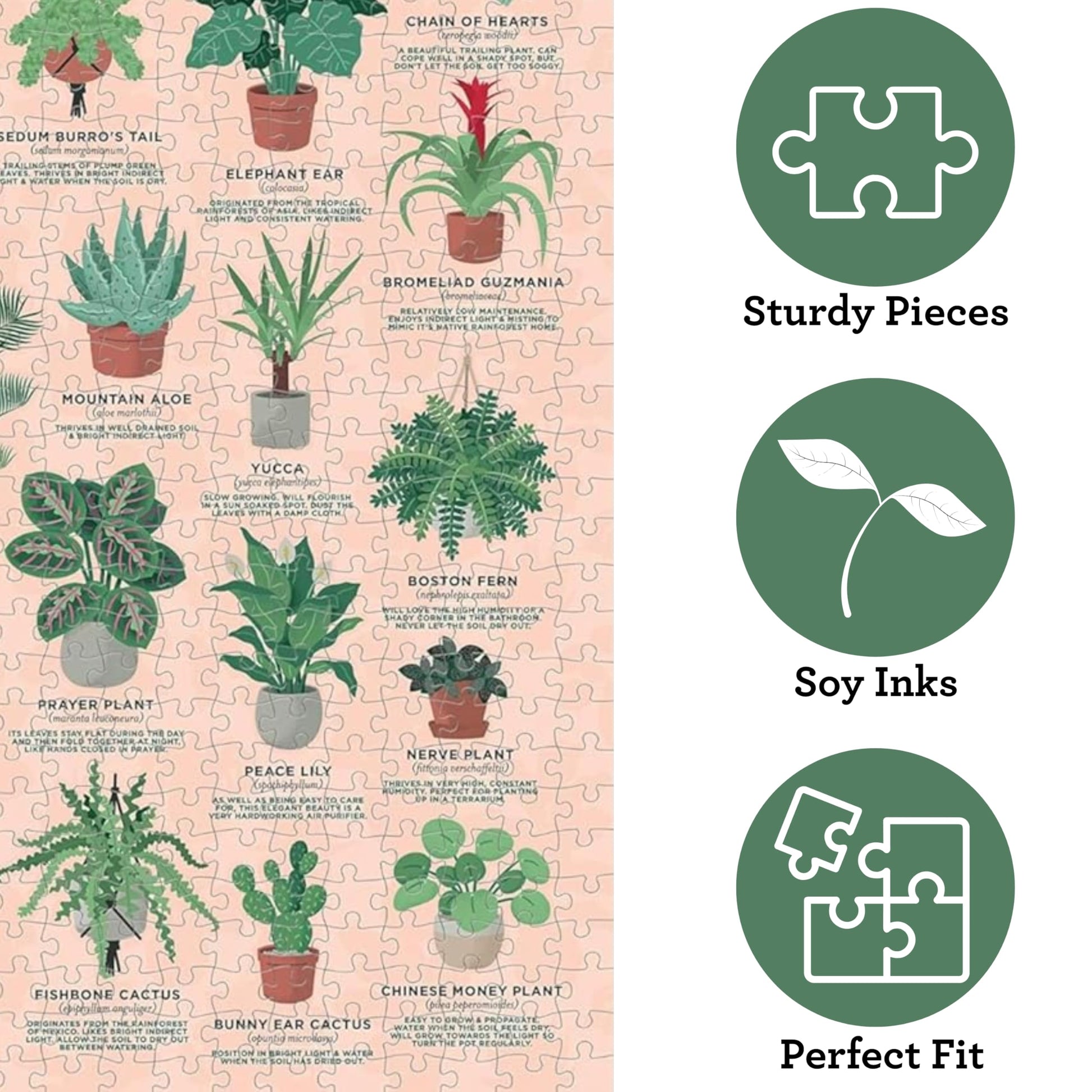 Ridley's Games: House Plants 1000-Piece Jigsaw Puzzle | Perfect for Plant Owners with Over 30 Unique Plants | Perfect Room Décor Once Completed |