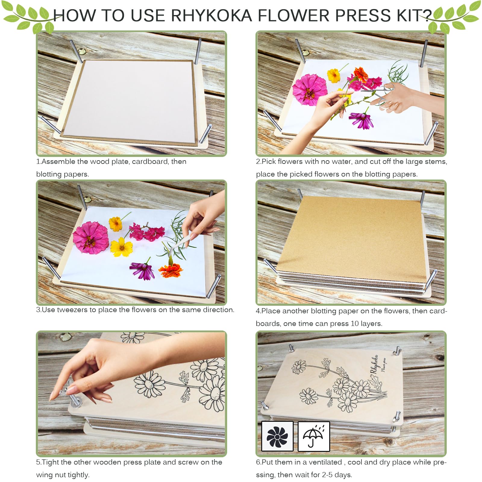 Rhykoka Large Flower Press Kit for Adults, 10 Layers 11.8 x 8.3 Inches DIY Wood Leaf Plant Press Kit, Great Gift for DIY Arts and Crafts Lovers (Light