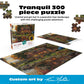 Buffalo Games - Peace Like A River - 300 Large Piece Puzzle for Adults
