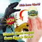 JA-RU Magic Grow Dinosaur Eggs - Water Growing Toys for Kids (1 Egg Assorted) Educational Science Toys, Dinosaur Party Favors, Classroom Prizes
