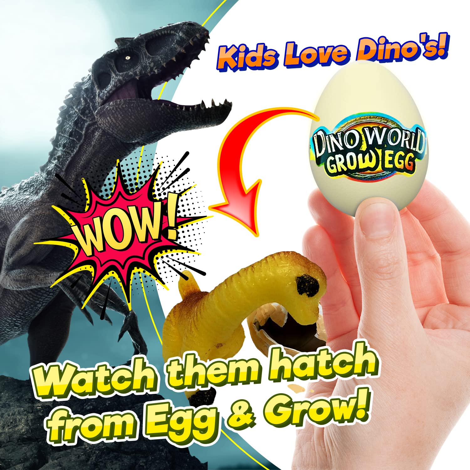 JA-RU Magic Grow Dinosaur Eggs - Water Growing Toys for Kids (1 Egg Assorted) Educational Science Toys, Dinosaur Party Favors, Classroom Prizes
