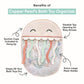 Copper Pearl Oceana Extra-Large Mesh Bath Toy Holder with Suction Cups: Quick-Dry Bath Toy Storage Net for Bathtub