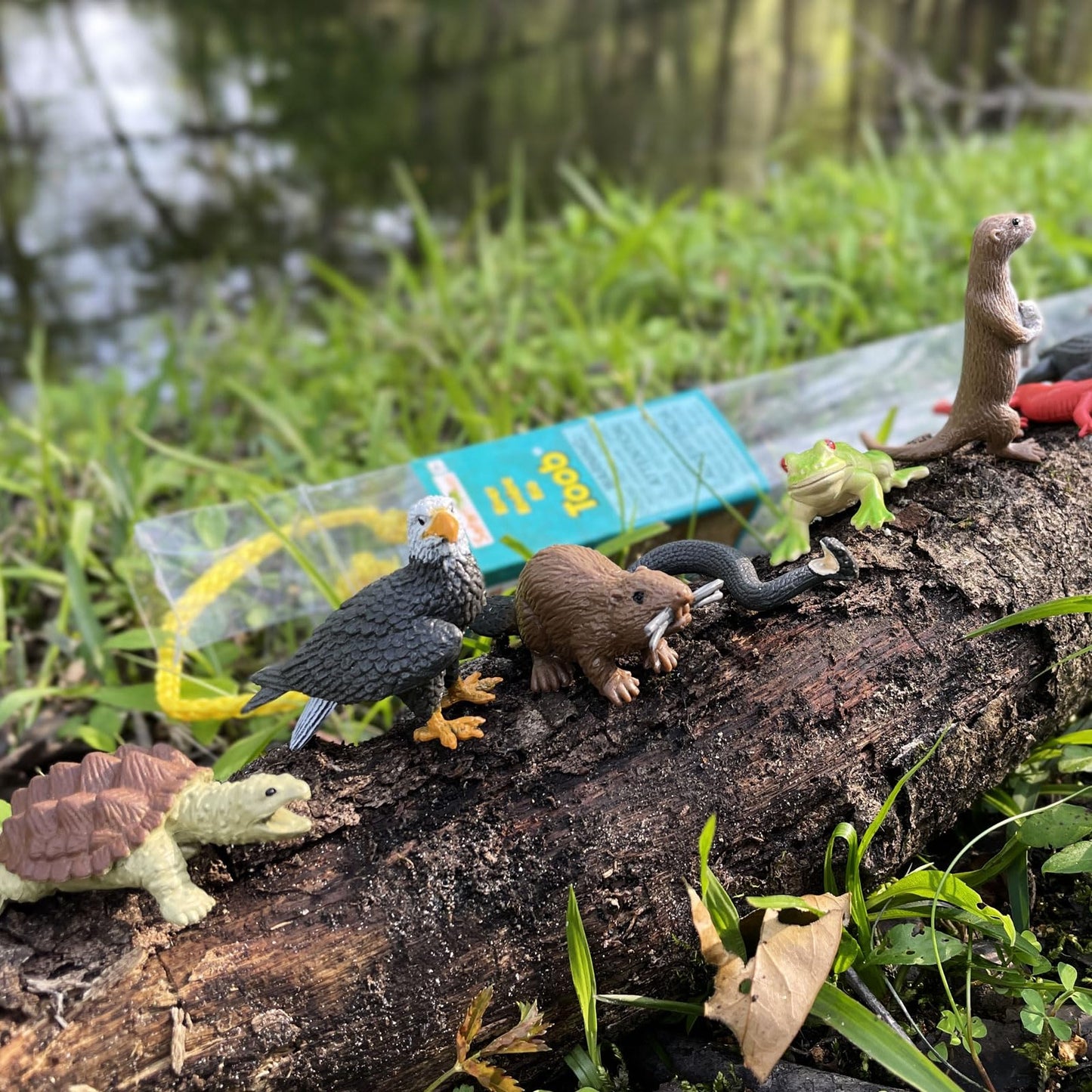 Safari Ltd. River Animals Bulk Bag - Set of Miniature River Toy Figures - 48 Piece Play Toys for Boys, Girls & Kids Age 3+