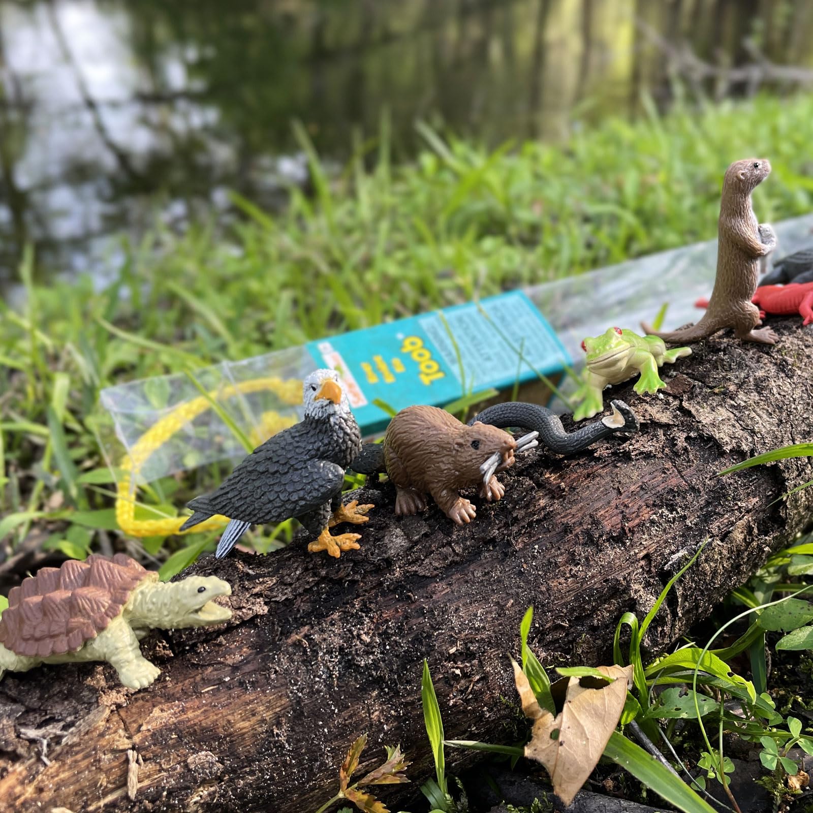 Safari Ltd. River Animals Bulk Bag - Set of Miniature River Toy Figures - 48 Piece Play Toys for Boys, Girls & Kids Age 3+