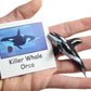 Montessori Arctic Polar Animal Match - Miniature Arctic Animal Toy Figurines with Matching Cards - 2 Part Cards. Montessori Learning Toy, Language