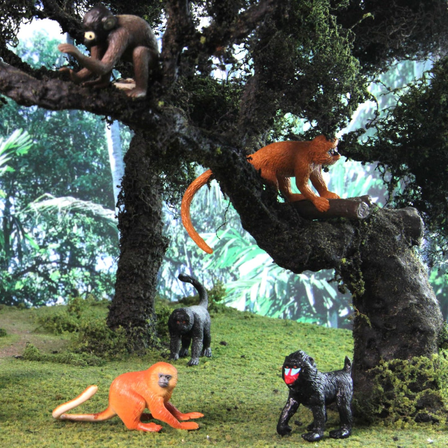 Safari Ltd. Apes & Monkeys TOOB - 12 Figurines: Baboon, Orangutan, Tamarin, Lemur, Gorilla, Mandrill, Chimp, Squirrel, Spider, & Woolly Monkeys
