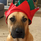 Funiverse Bulk 12 Pack Christmas Elf Hat with Jingle Bell - Adult Sized and Perfect for Any Christmas Holiday Event