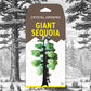 Crystal Growing Giant Sequoia | Copernicus Toys Official Terraformer kit | Grows in Hours | Facts and Instructions