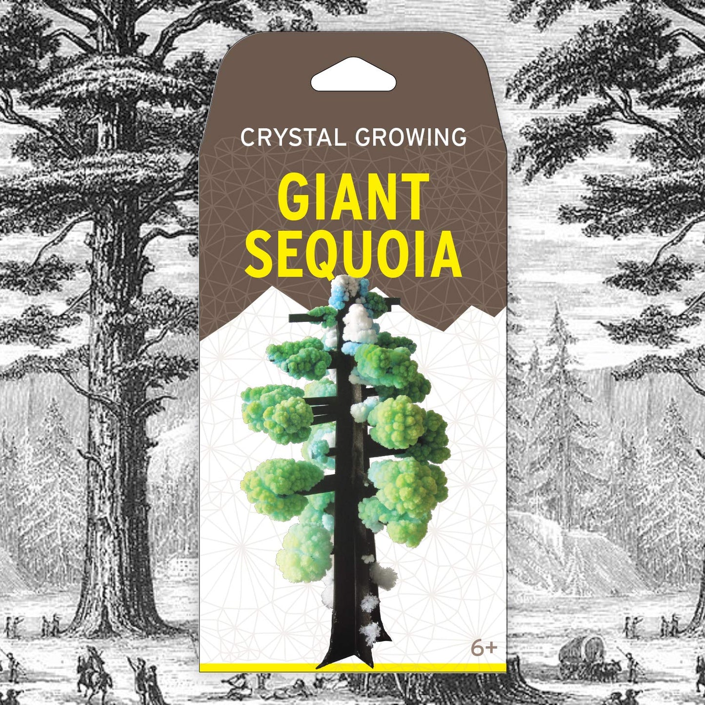 Crystal Growing Giant Sequoia | Copernicus Toys Official Terraformer kit | Grows in Hours | Facts and Instructions