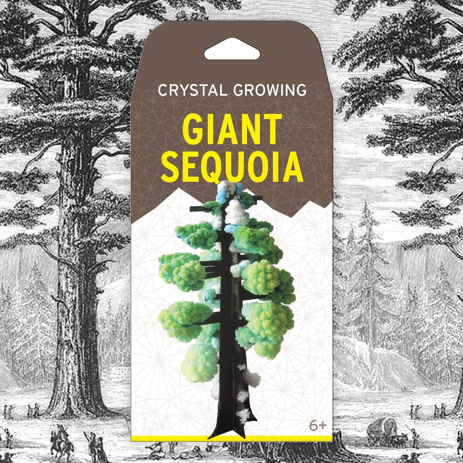 Crystal Growing Giant Sequoia | Copernicus Toys Official Terraformer kit | Grows in Hours | Facts and Instructions