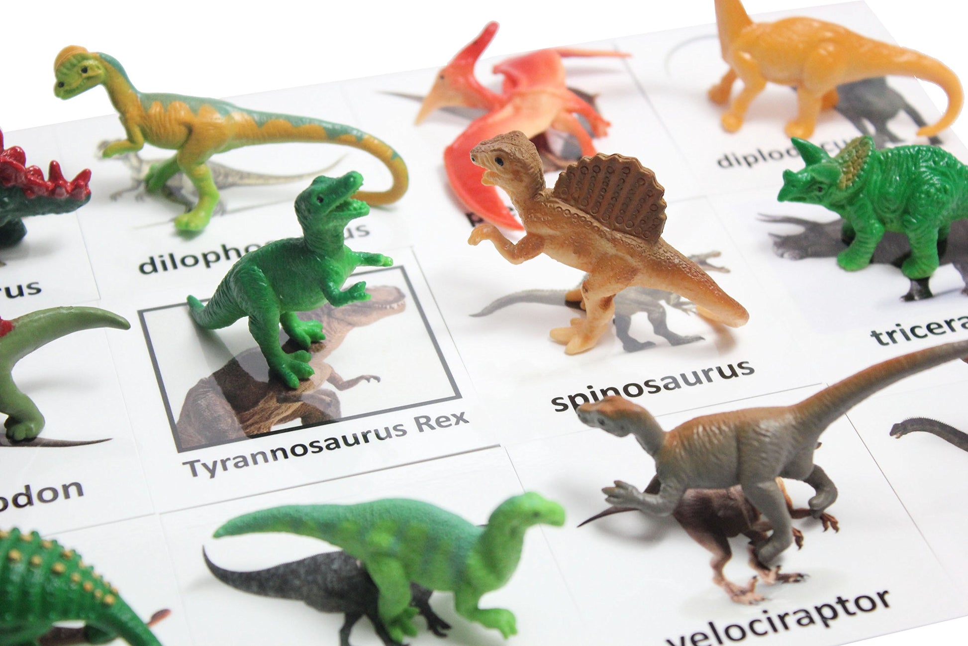 Curious Minds Busy Bags Montessori Dinosaur Figure Animal Match - Miniature Dino Figurines with Matching Cards - 2 Part Cards. Montessori Learning