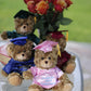 Plushland Plush Stuffed Animal Toys 12 Inches Present Gifts for Graduation Day, Personalized Text, Name or Your School Logo on Gown, Best for Any Grad