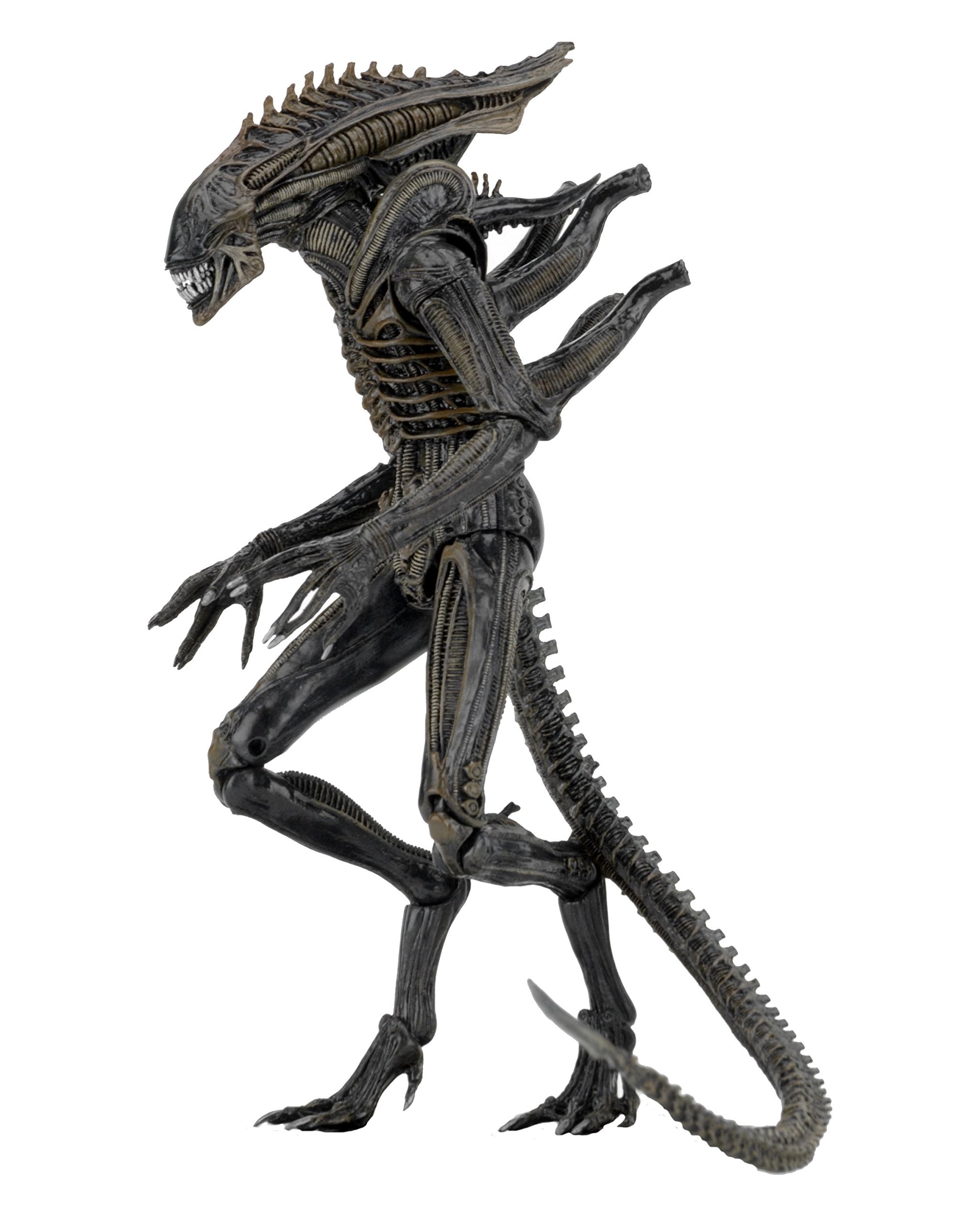 NECA Aliens - 7" scale action figure series 11 - Defiance Alien