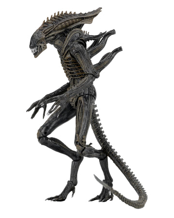 NECA Aliens - 7" scale action figure series 11 - Defiance Alien