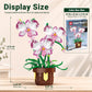 IBLOTIME Orchid Building Blocks, Flower Building Set, Botanical Orchid Plant 355 Pieces, DIY Decorative Desk Decor, Birthday Christmas for Teens
