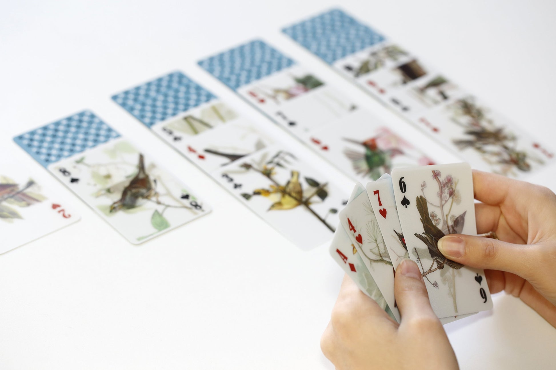 Kikkerland 3D Lenticular Bird Pokersize Deck 54pc Standard Index Waterproof Novelty Playing Cards