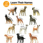 stargo Friendly Dog Figurines for Kids and Toddlers - Plastic Dogs Set of 12 Realistic Play Figures - Non-Toxic Cake Topper, Farm Animal Figurines