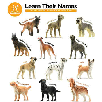 stargo Friendly Dog Figurines for Kids and Toddlers - Plastic Dogs Set of 12 Realistic Play Figures - Non-Toxic Cake Topper, Farm Animal Figurines