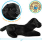 TigerHart Blythe The Black Lab - 12 Inch Stuffed Animal Plush