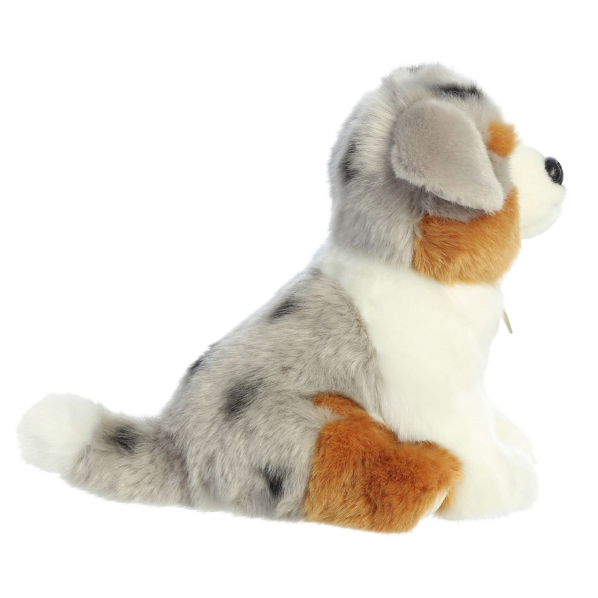 Aurora - Miyoni - 9" Aussie Pup