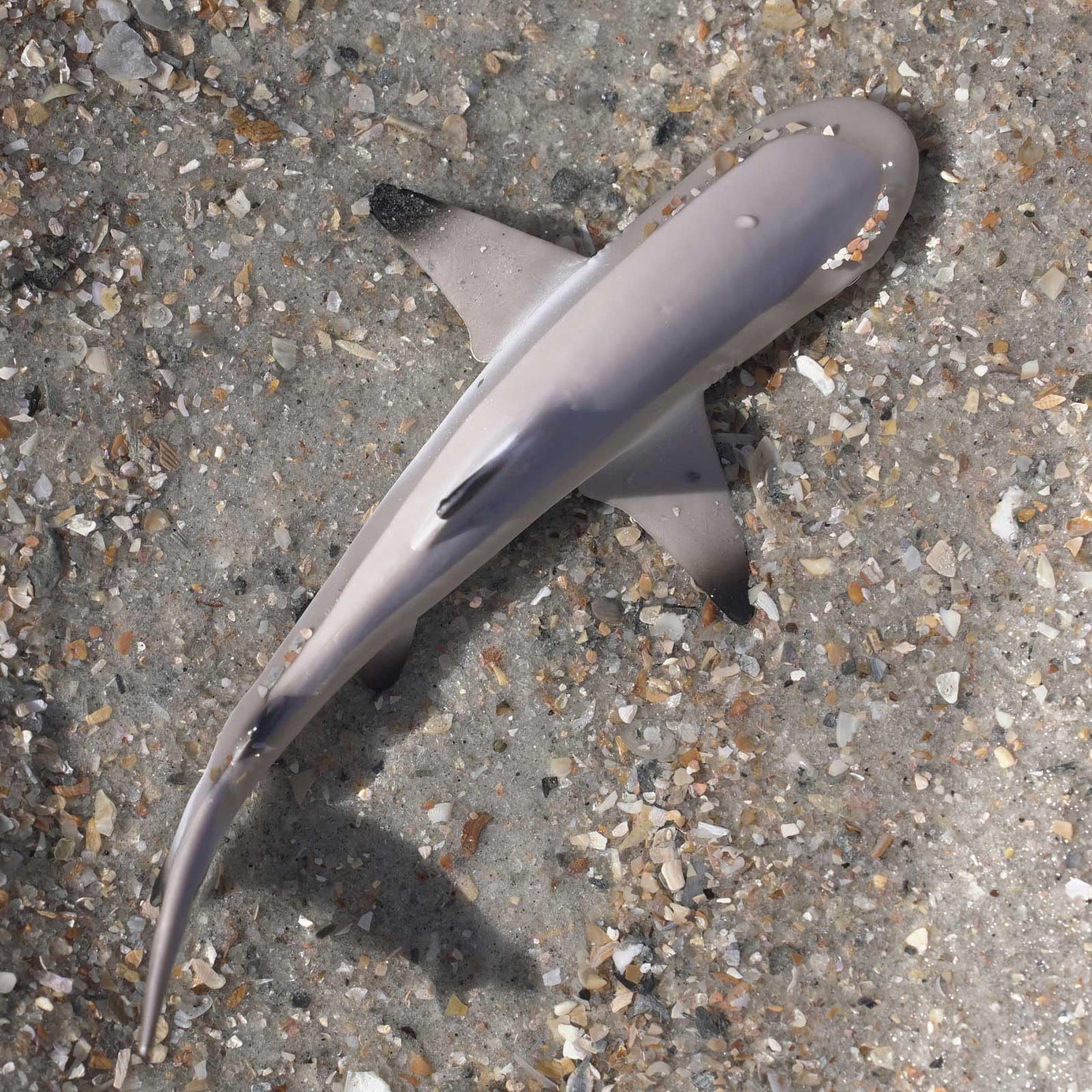 Safari Ltd Blacktip Reef Shark Figurine - Lifelike 5.75" Model Figure - Educational Toy for Boys, Girls, and Kids Ages 3+