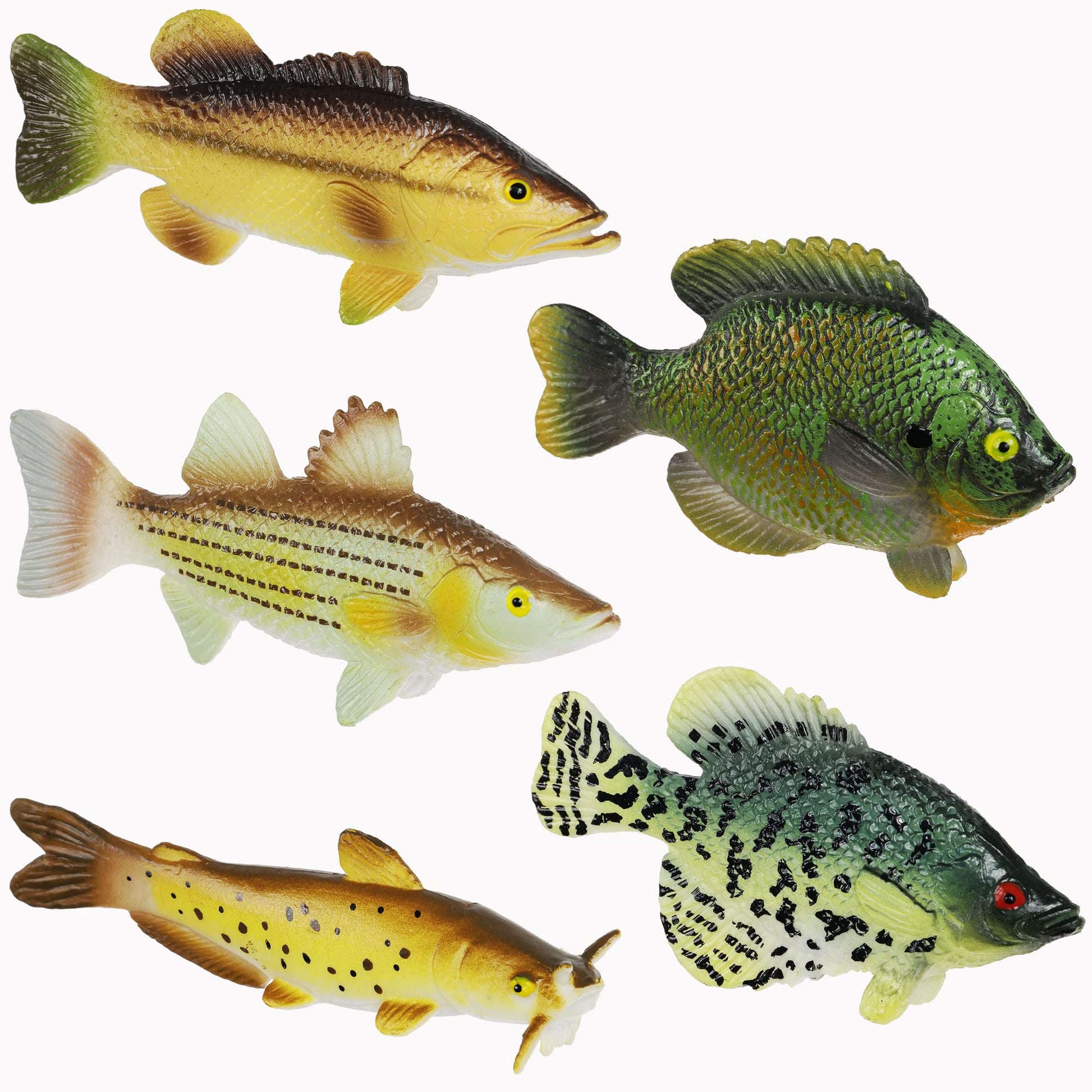 Toy Fish Factory American Angler Collection Toy Fish Set, Toy Fish Figurines, Largemouth Bass Catfish Bluegill Crappie Striper, Educational Toy, Fish