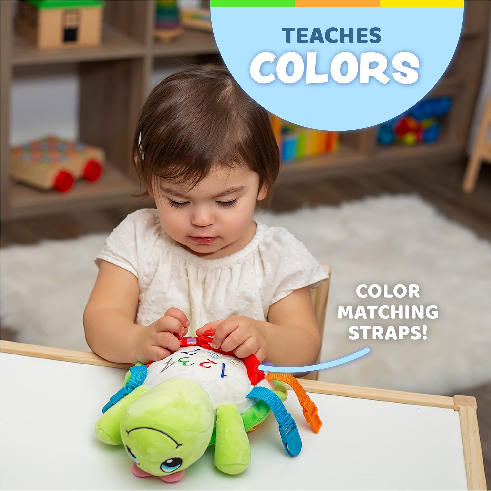 Buckle Toys - Belle Turtle - Learning Activity - Develop Motor Skills and Problem Solving - Counting and Color Recognition - Airplane Travel