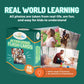 CreateFun 50 Action Verbs Flash Cards for Speech Therapy & ESL Vocabulary
