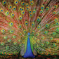 SUNSOUT INC - The Big Boy - 1000 pc Jigsaw Puzzle by Artist: Celebrate Life Gallery - Finished Size 19" x 30" - MPN# 37352