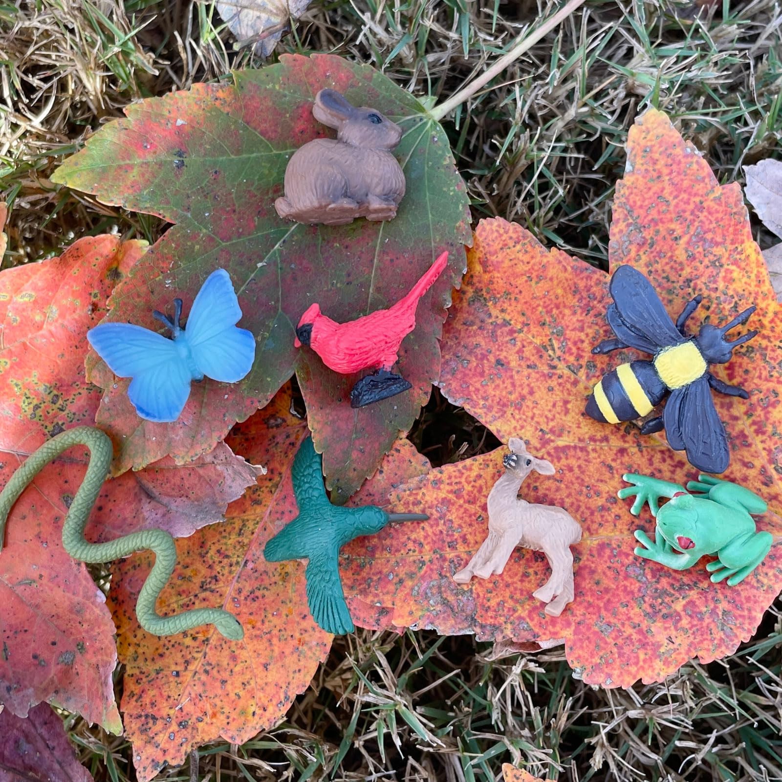 Safari Ltd. Good Luck Minis Backyard Fun Pack - Mini Figurines Including Rabbit, Frog, Butterfly, Snake, Doe, Cardinal, Honey Bee, Hummingbird