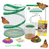 Insect Lore Butterfly Garden with 5 Live Baby Caterpillars - STEM Activity Journal, Habitat, Chrys-A-Lid Holder and Feeder Included | Raise
