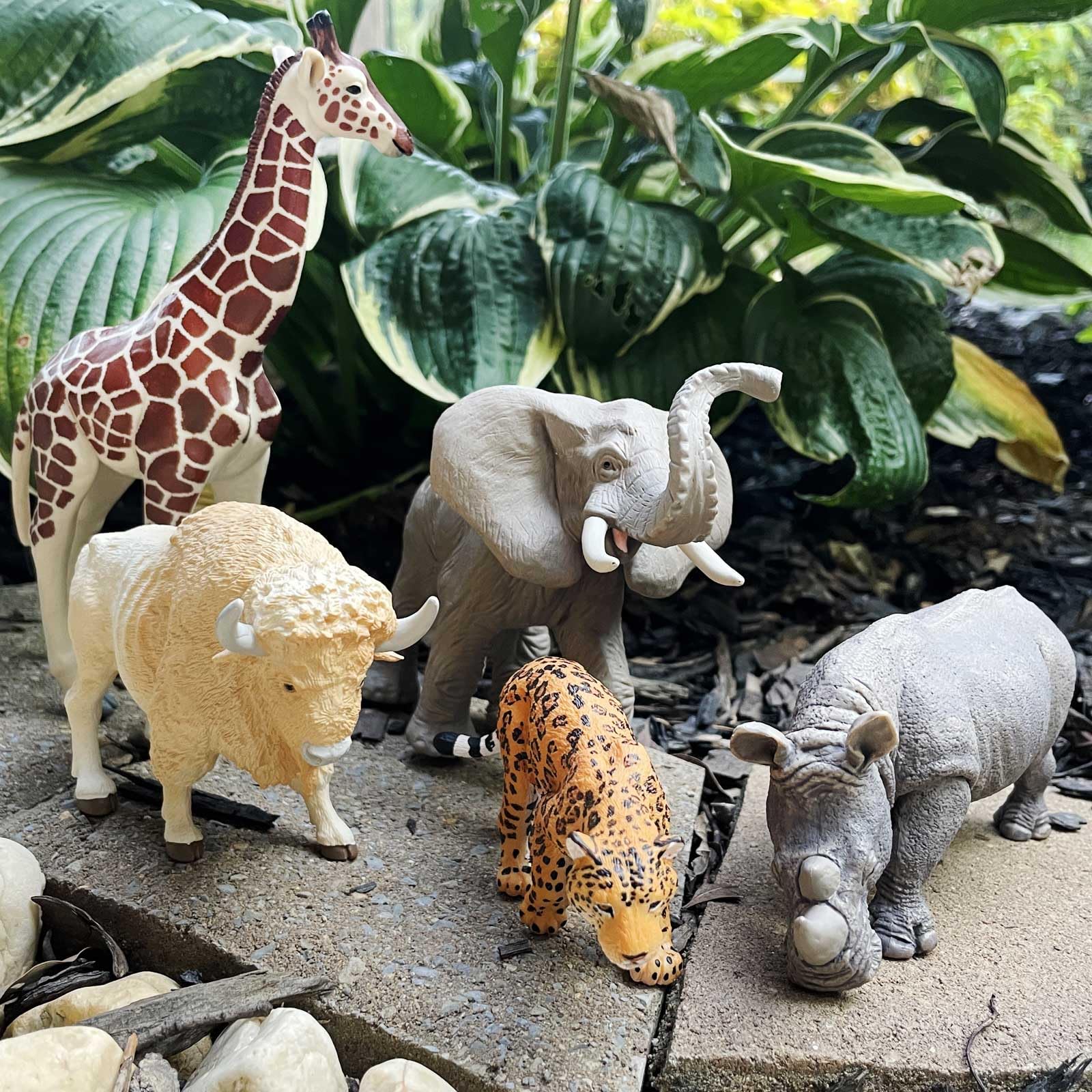 Safari Ltd. Zoo Animal Toy Set - 5 Figurines of Elephant, Giraffe, Jaguar, Rhino, Buffalo - Play Set for Boys, Girls, and Kids 3+