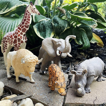 Safari Ltd. Zoo Animal Toy Set - 5 Figurines of Elephant, Giraffe, Jaguar, Rhino, Buffalo - Play Set for Boys, Girls, and Kids 3+
