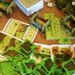 Agricola (Revised Edition) Farmers of The Moor Expansion | Strategy Game for Adults and Teens | Advanced Board Game | Ages 12+ | 1-4 Players | Avg