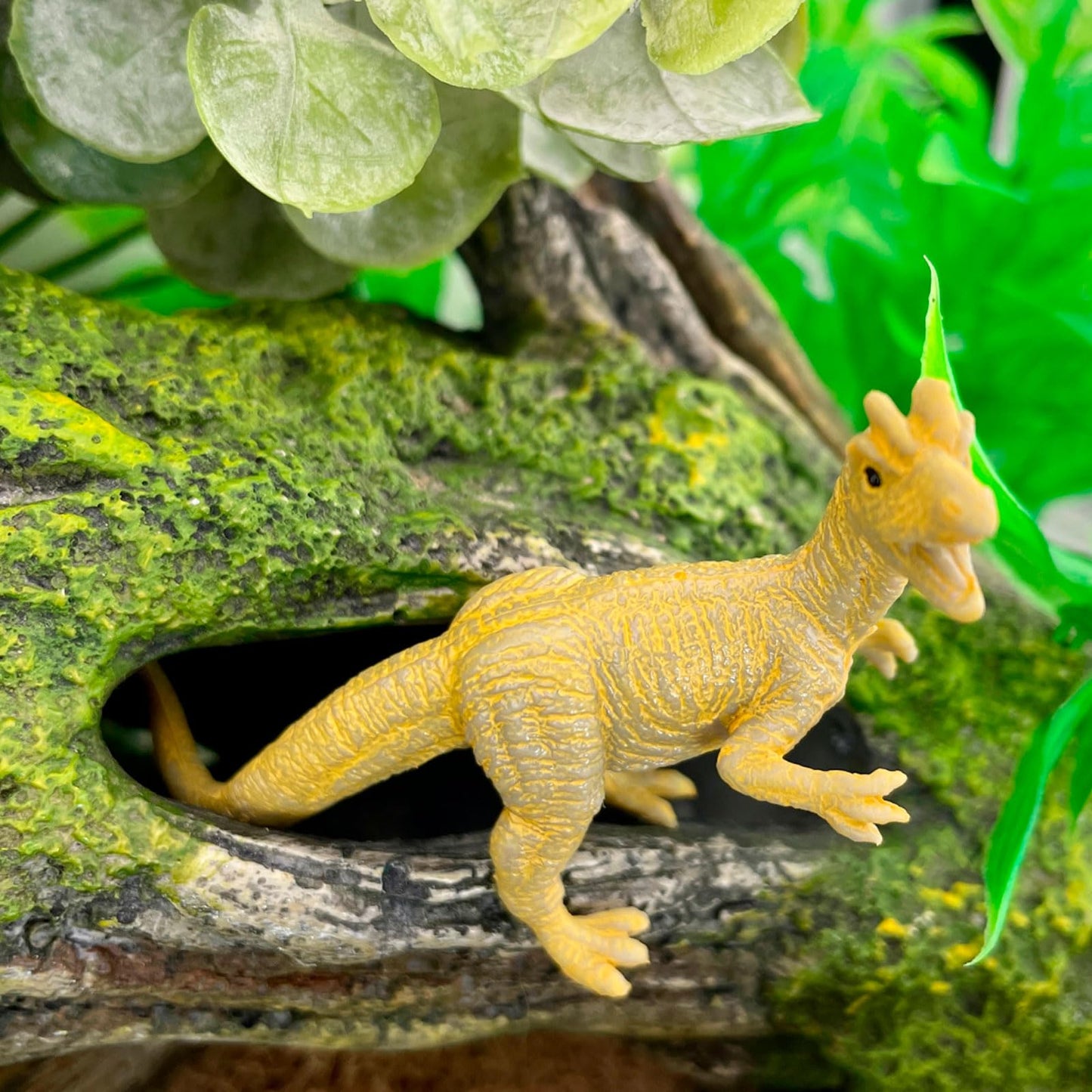 Safari Ltd. Carnivorous Dinosaurs TOOB - Set of 12 Mini Figurines Featuring T-Rex, Spinosaurus, Utahraptor, Allosaurus, Pteranodon, & More