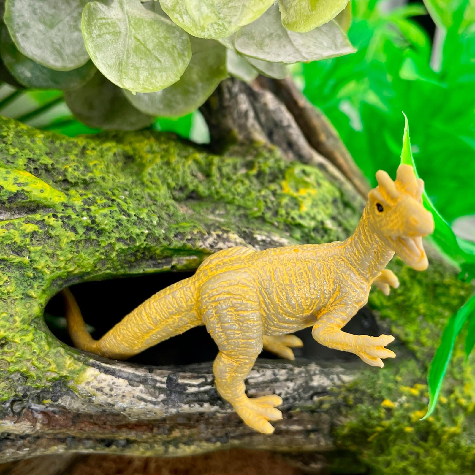 Safari Ltd. Carnivorous Dinosaurs TOOB - Set of 12 Mini Figurines Featuring T-Rex, Spinosaurus, Utahraptor, Allosaurus, Pteranodon, & More